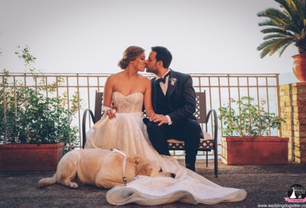 Wedding Dog Sitter® Italy