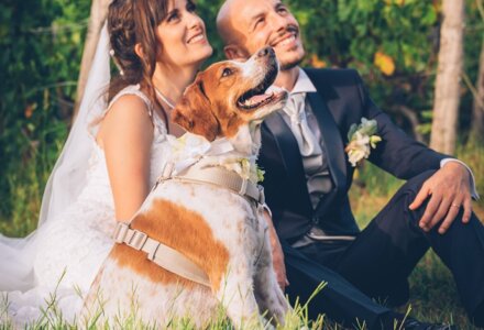 Wedding Dog Sitter® Italy