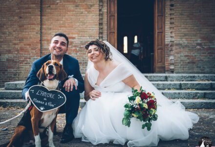 Wedding Dog Sitter® Italy
